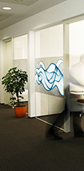 Window Film